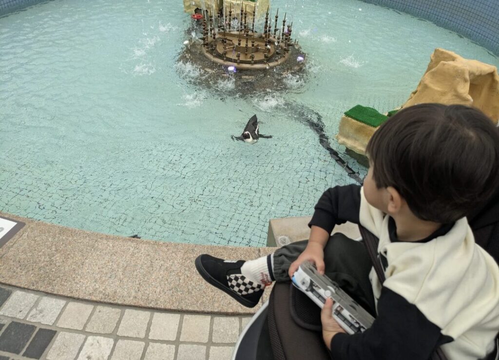 アドベンチャーワールド