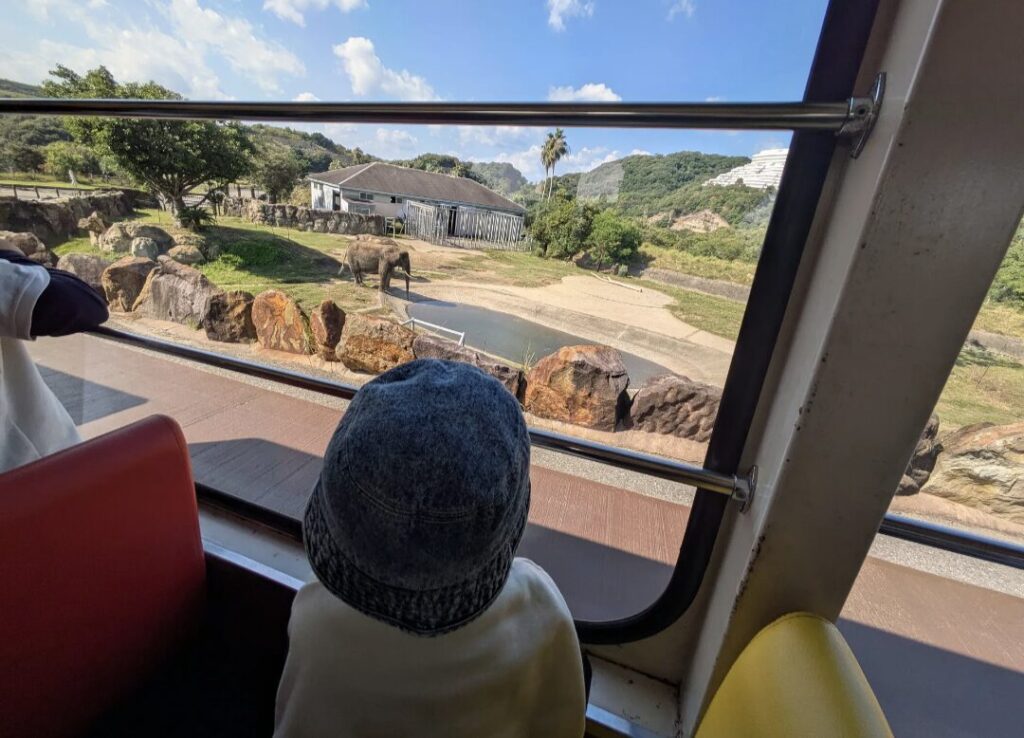 アドベンチャーワールド サファリパーク