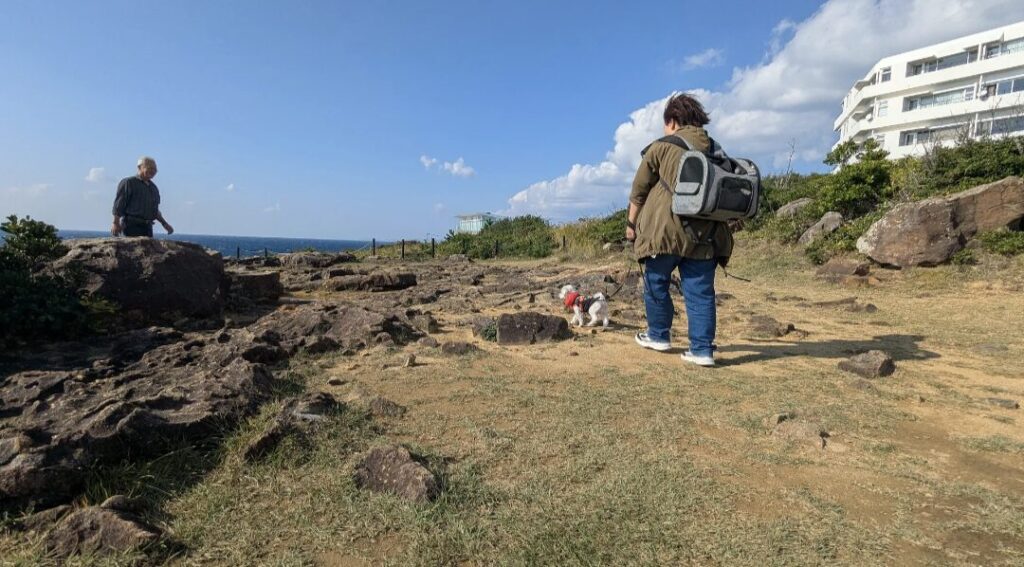 白浜のおすすめスポット④三段壁 ペットも歩かせられる