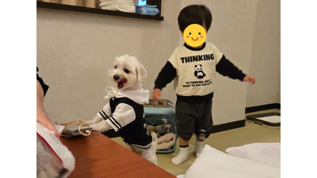 犬と２歳児と白浜旅行